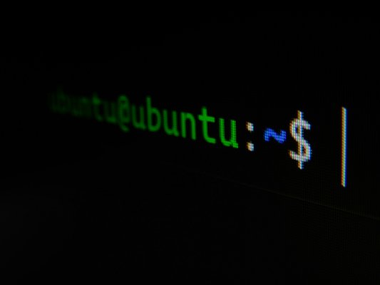 What is $$ in Bash?
